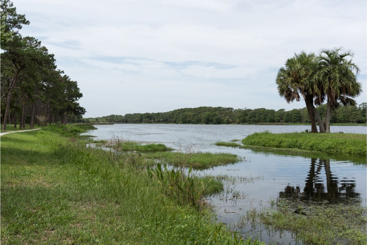 Best Camping In Florida (6)