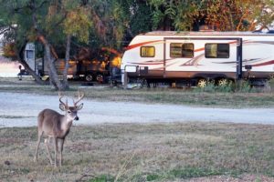 Best Camping In Texas (7)