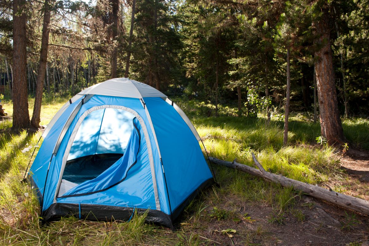 how to clean a tent