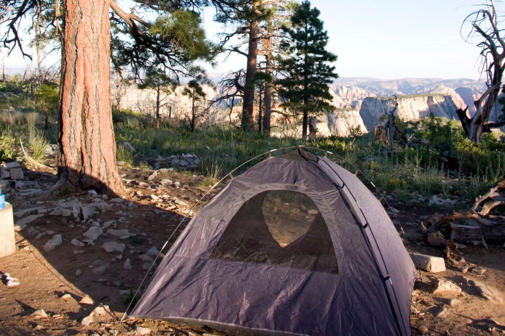 Best Camping In New Mexico Just Van Life