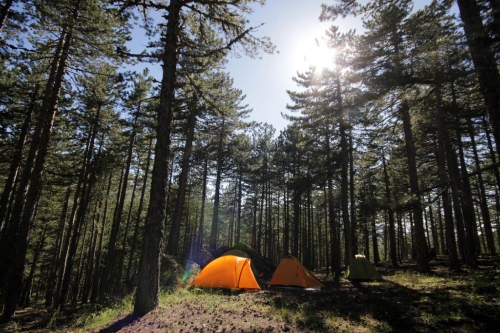 Best Campgrounds In Connecticut Just Van Life