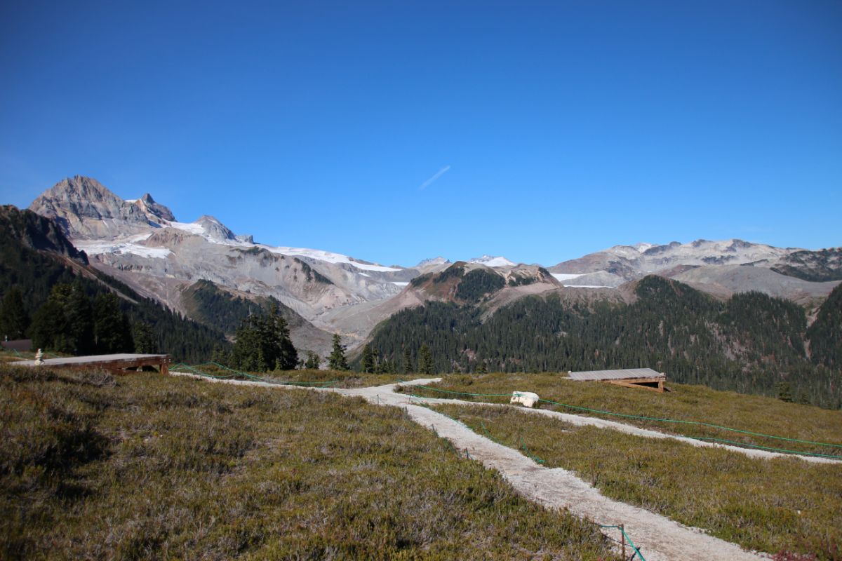 Best Campgrounds In The Smoky Mountains