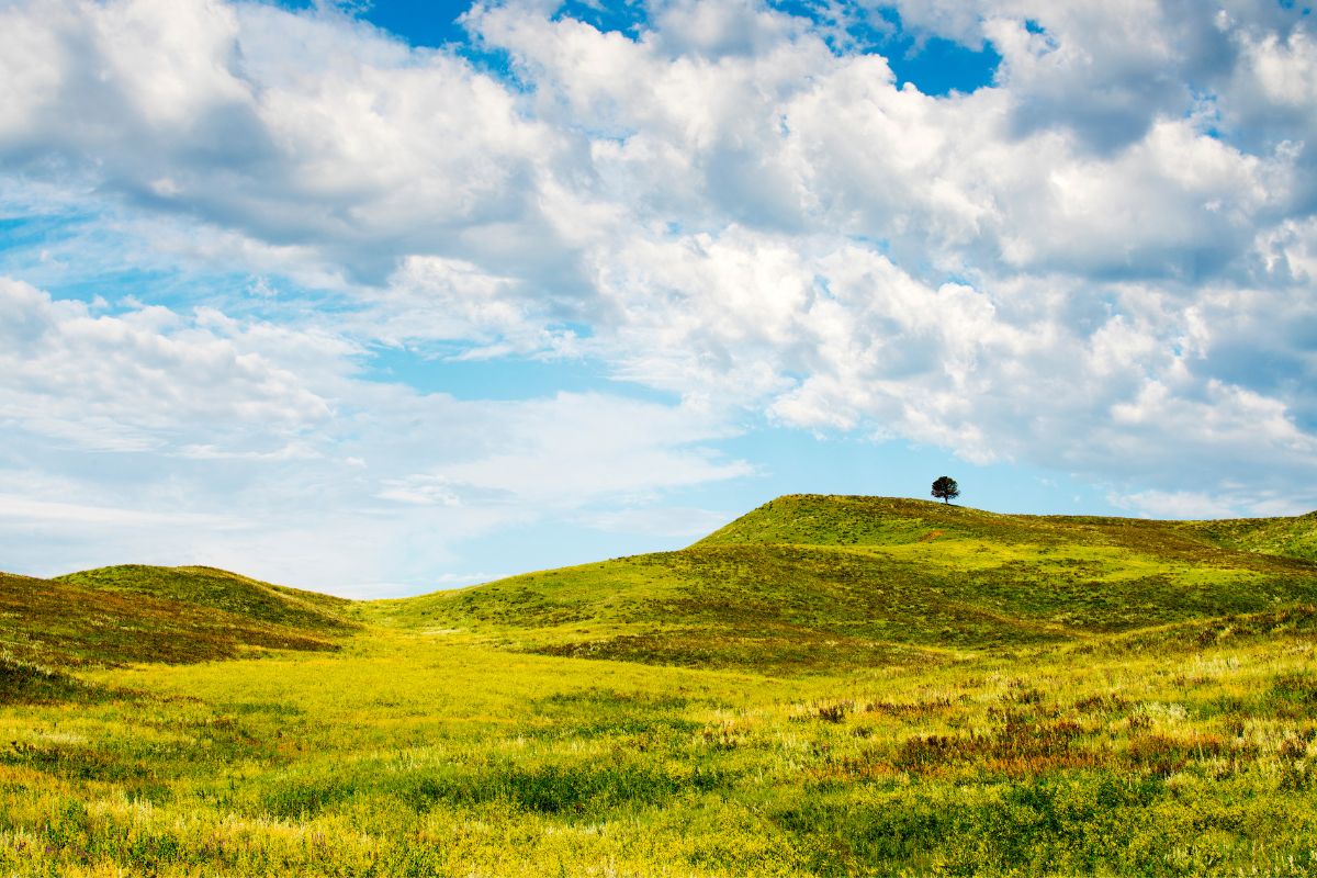 Best Campgrounds In The Black Hills
