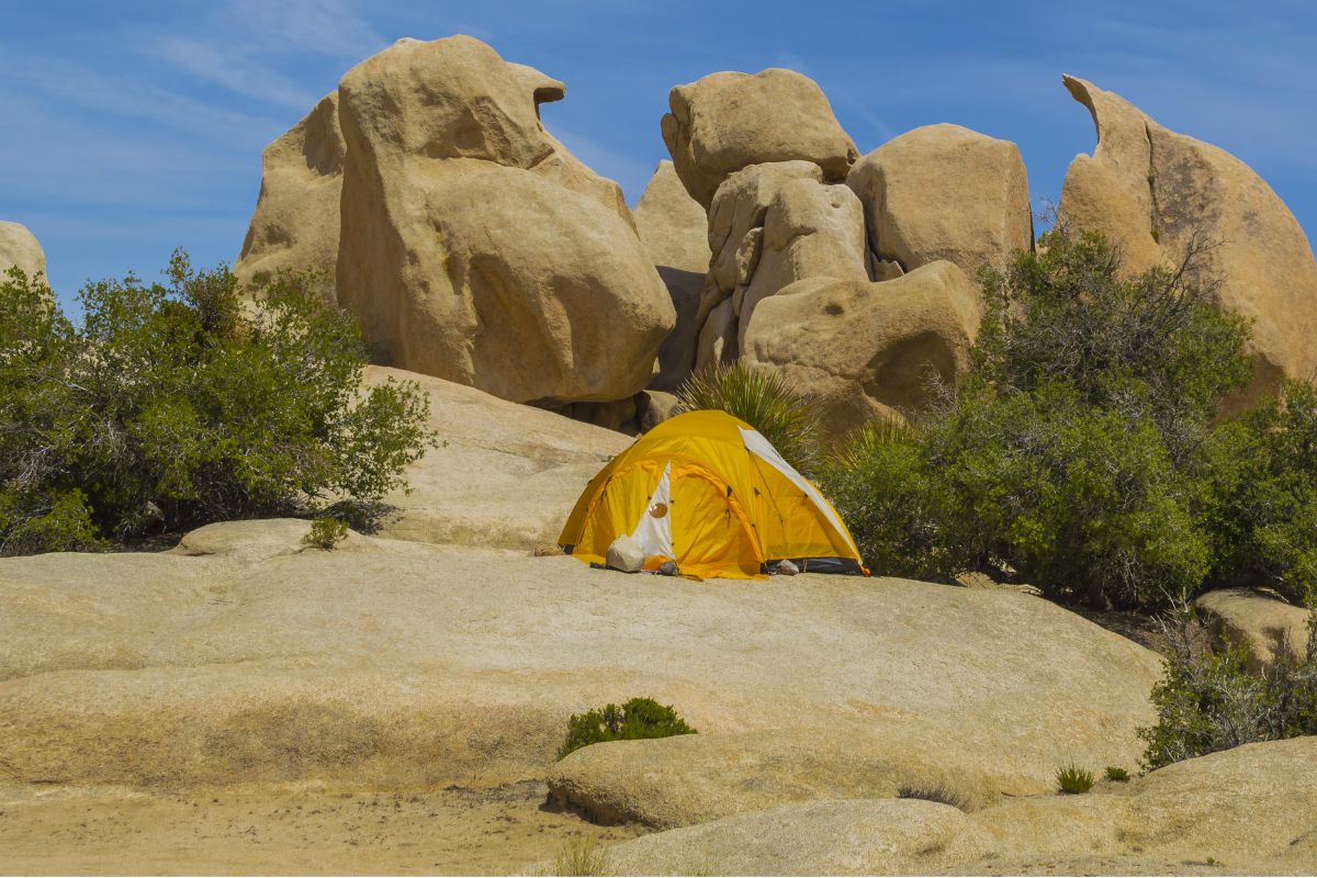 Best Campground In Joshua Tree