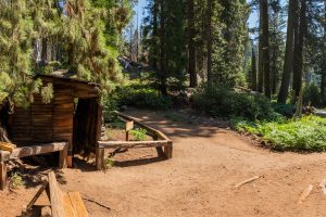 Best Campgrounds In Sequoia National Park
