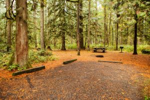 Best Campsites In New Jersey