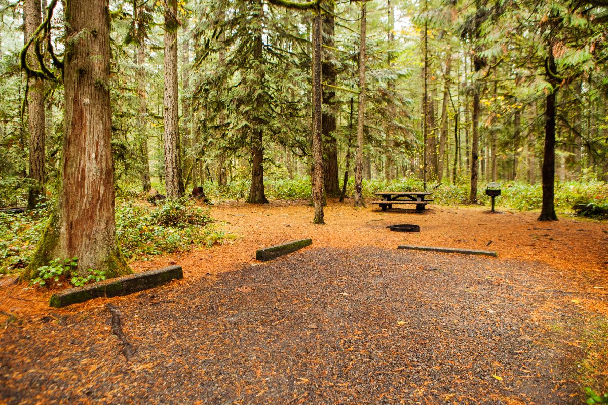 Best Campsites In New Jersey