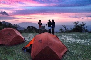 Best Wilmington Campsites