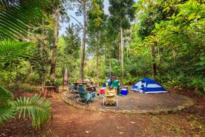 Best Campsites In Houston Texas