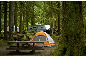 Best Campsites In Orange County