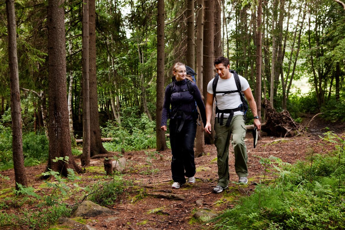 Quarantine Docks Loop Trail