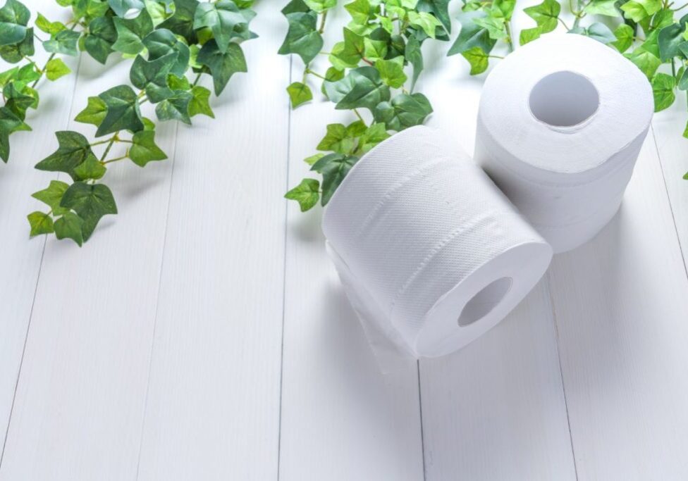 7 Best RV Toilet Paper